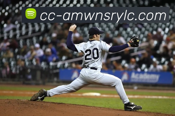 威尼斯人官网APP 封面图